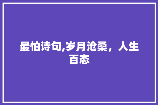 最怕诗句,岁月沧桑，人生百态