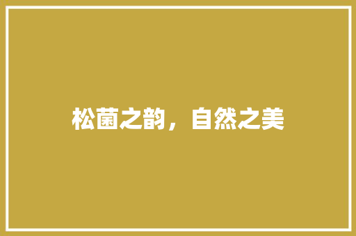 松菌之韵，自然之美 工作总结