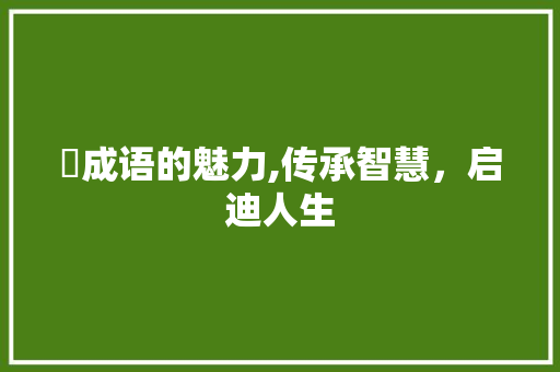 枮成语的魅力,传承智慧，启迪人生