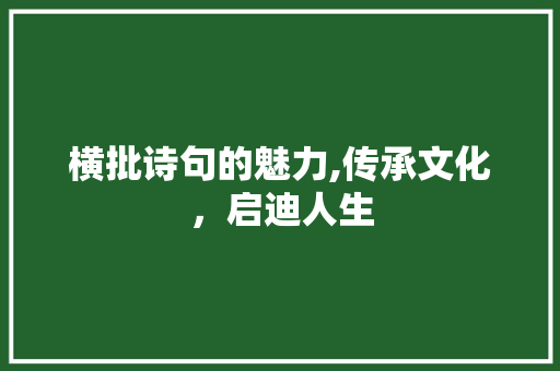 横批诗句的魅力,传承文化，启迪人生
