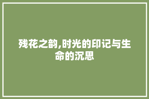 残花之韵,时光的印记与生命的沉思