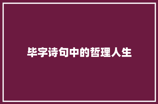 毕字诗句中的哲理人生