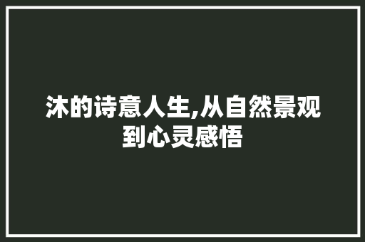 沐的诗意人生,从自然景观到心灵感悟