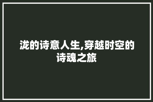 泷的诗意人生,穿越时空的诗魂之旅
