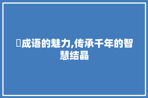 洤成语的魅力,传承千年的智慧结晶