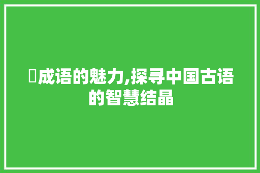 浂成语的魅力,探寻中国古语的智慧结晶