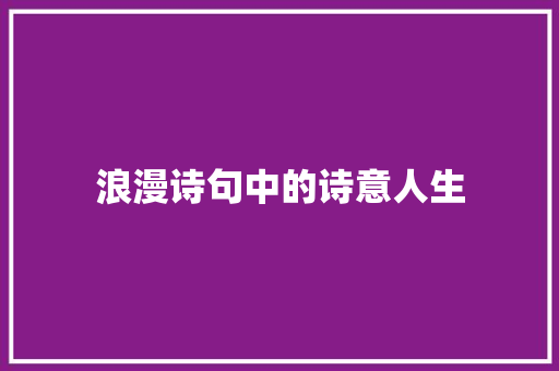 浪漫诗句中的诗意人生 工作总结
