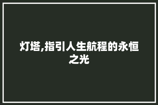 灯塔,指引人生航程的永恒之光 工作计划