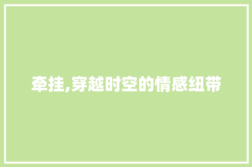 牵挂,穿越时空的情感纽带