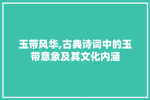 玉带风华,古典诗词中的玉带意象及其文化内涵 工作总结