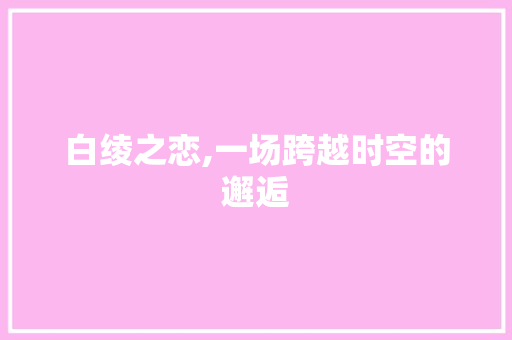 白绫之恋,一场跨越时空的邂逅 诗词鉴赏