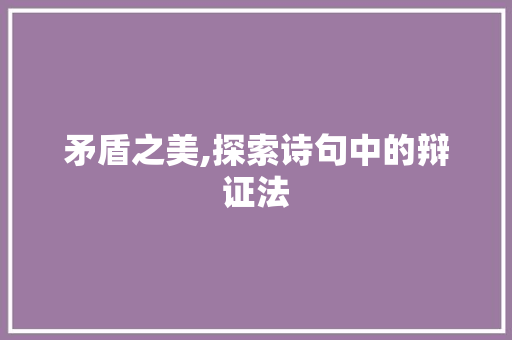 矛盾之美,探索诗句中的辩证法 工作总结