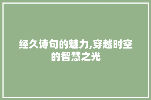 经久诗句的魅力,穿越时空的智慧之光 工作计划
