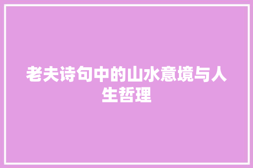 老夫诗句中的山水意境与人生哲理