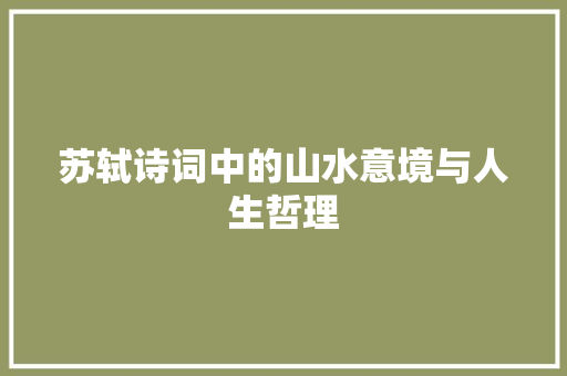 苏轼诗词中的山水意境与人生哲理