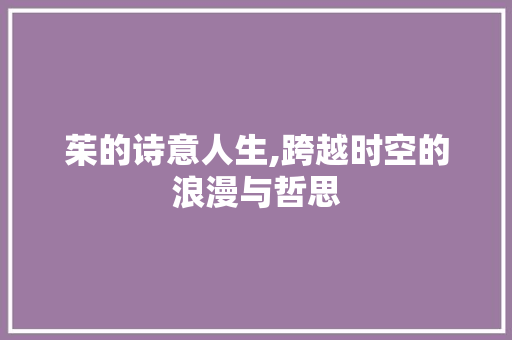 茱的诗意人生,跨越时空的浪漫与哲思 个人简历