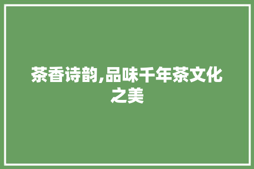 茶香诗韵,品味千年茶文化之美 工作计划