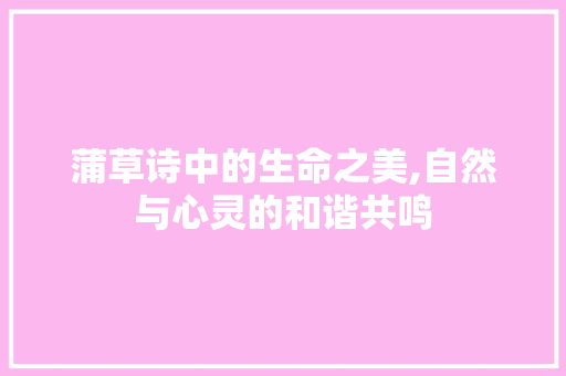 蒲草诗中的生命之美,自然与心灵的和谐共鸣