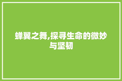 蝉翼之舞,探寻生命的微妙与坚韧