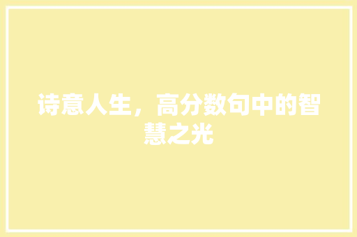 诗意人生，高分数句中的智慧之光 合同范本