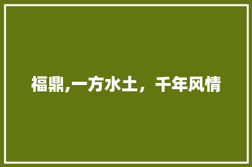 福鼎,一方水土，千年风情