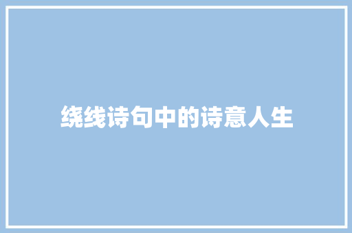 绕线诗句中的诗意人生