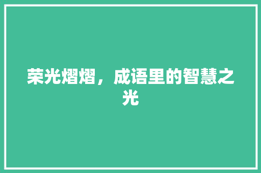 荣光熠熠，成语里的智慧之光