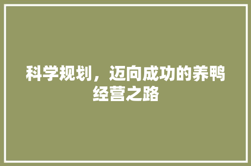 科学规划，迈向成功的养鸭经营之路 成语大全