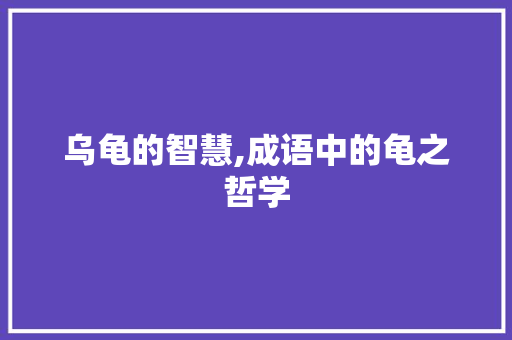 乌龟的智慧,成语中的龟之哲学 工作总结