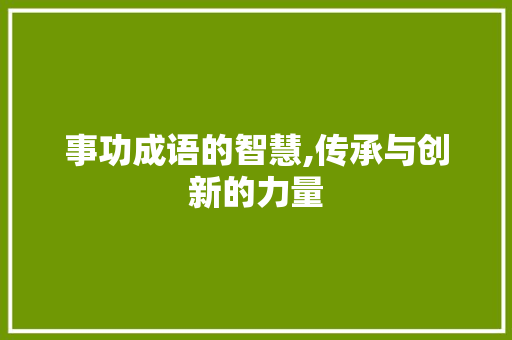 事功成语的智慧,传承与创新的力量