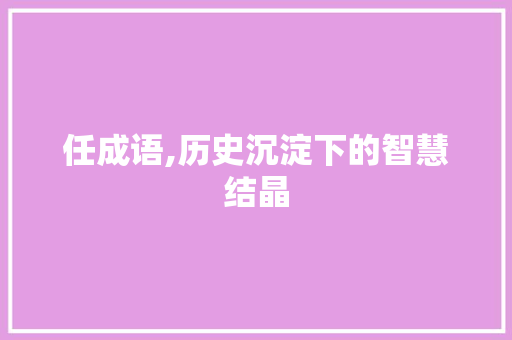 任成语,历史沉淀下的智慧结晶