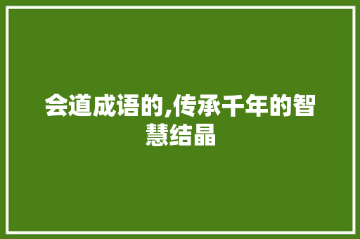 会道成语的,传承千年的智慧结晶