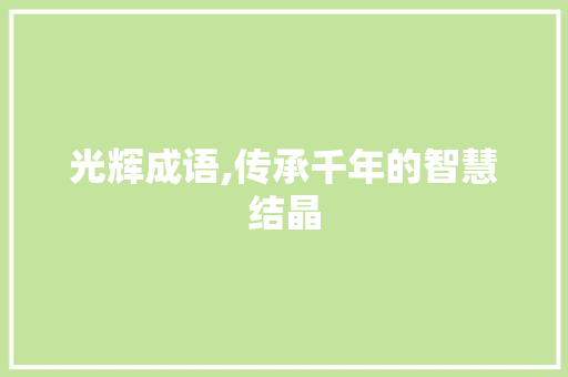 光辉成语,传承千年的智慧结晶