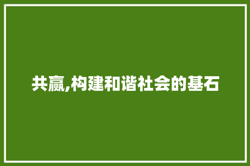 共赢,构建和谐社会的基石 工作计划