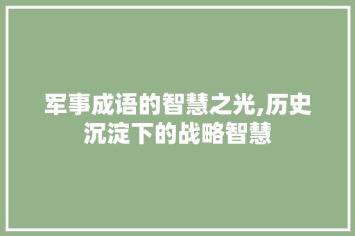 军事成语的智慧之光,历史沉淀下的战略智慧 成语大全