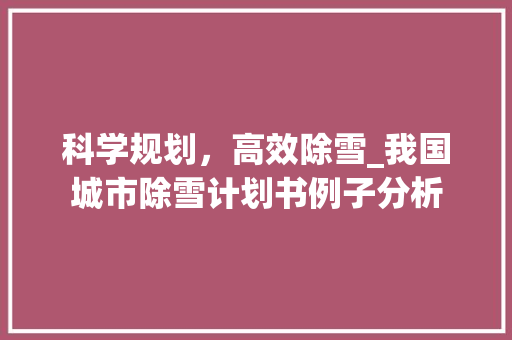 科学规划，高效除雪_我国城市除雪计划书例子分析