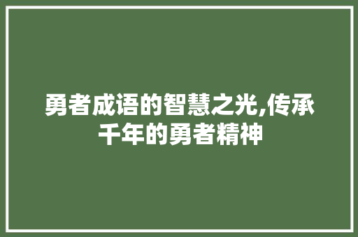 勇者成语的智慧之光,传承千年的勇者精神