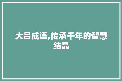 大吕成语,传承千年的智慧结晶