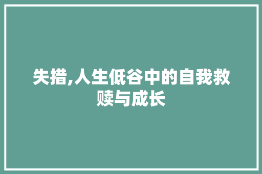 失措,人生低谷中的自我救赎与成长