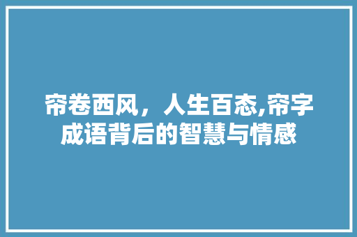 帘卷西风，人生百态,帘字成语背后的智慧与情感