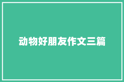 恒心,岁月长河中的砥砺前行