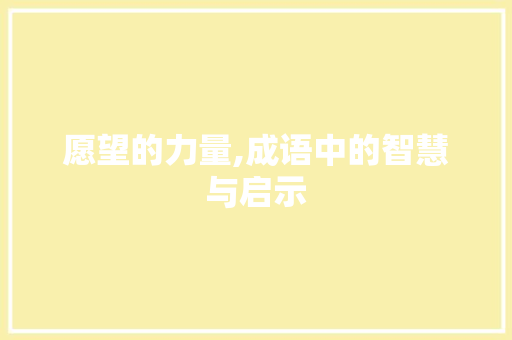 愿望的力量,成语中的智慧与启示