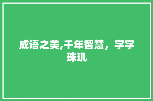 成语之美,千年智慧，字字珠玑