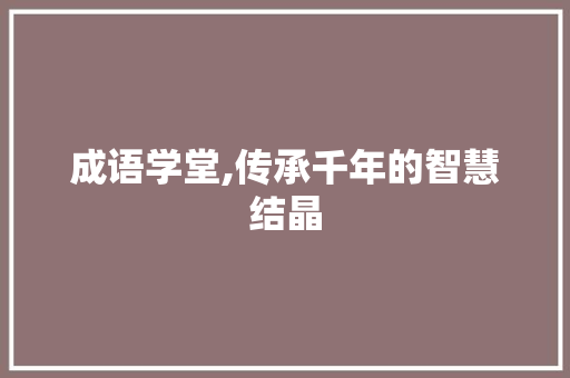 成语学堂,传承千年的智慧结晶