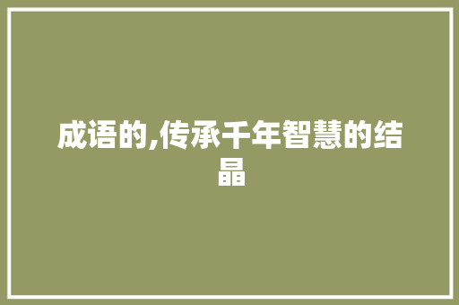 成语的,传承千年智慧的结晶