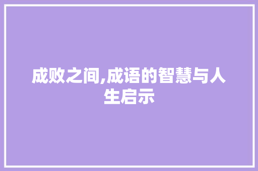 成败之间,成语的智慧与人生启示 工作计划