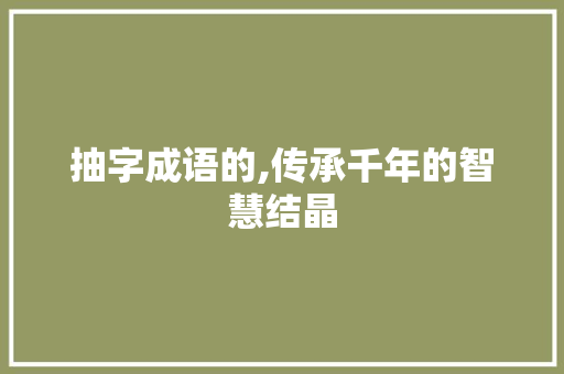 抽字成语的,传承千年的智慧结晶