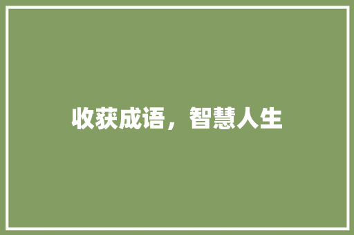 收获成语，智慧人生