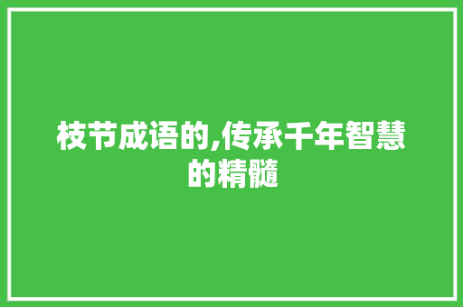 枝节成语的,传承千年智慧的精髓