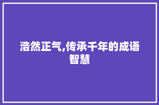 浩然正气,传承千年的成语智慧